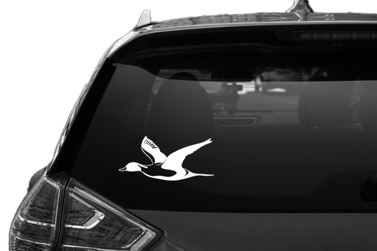 Duck Decals