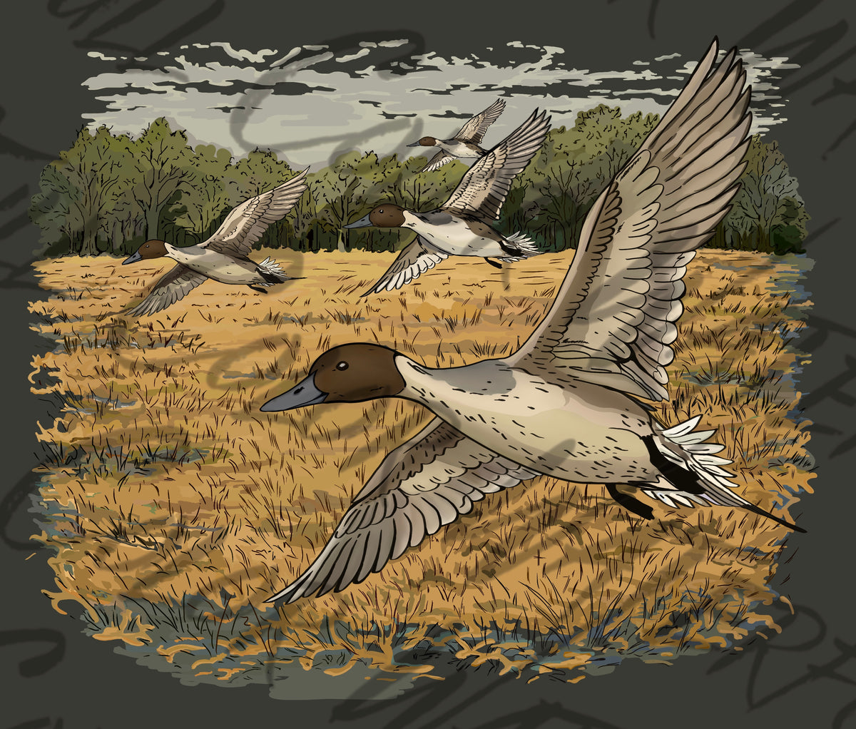 Northern Pintail Ducks Flying PNG | Waterfowl Hunting Illustration | Duck Hunting Artwork | Marsh Wildlife Graphic | Outdoor Brand Design