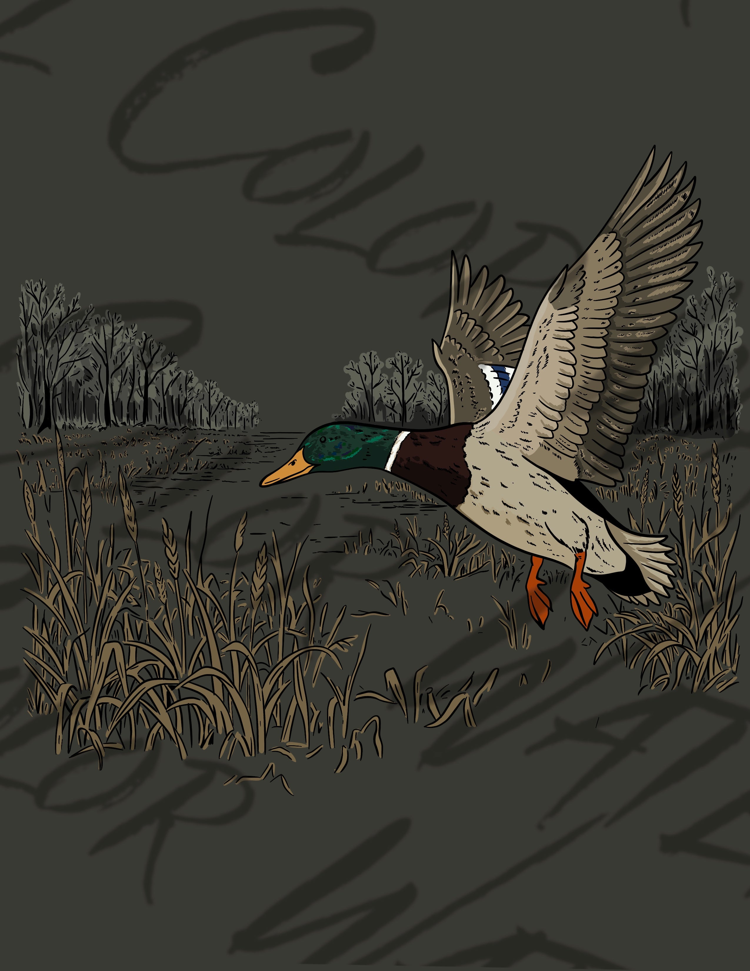 Mallard Duck Landing PNG | Waterfowl Hunting Graphic | Marsh Duck Illustration | Outdoor Wildlife Artwork | Hunting Apparel Design