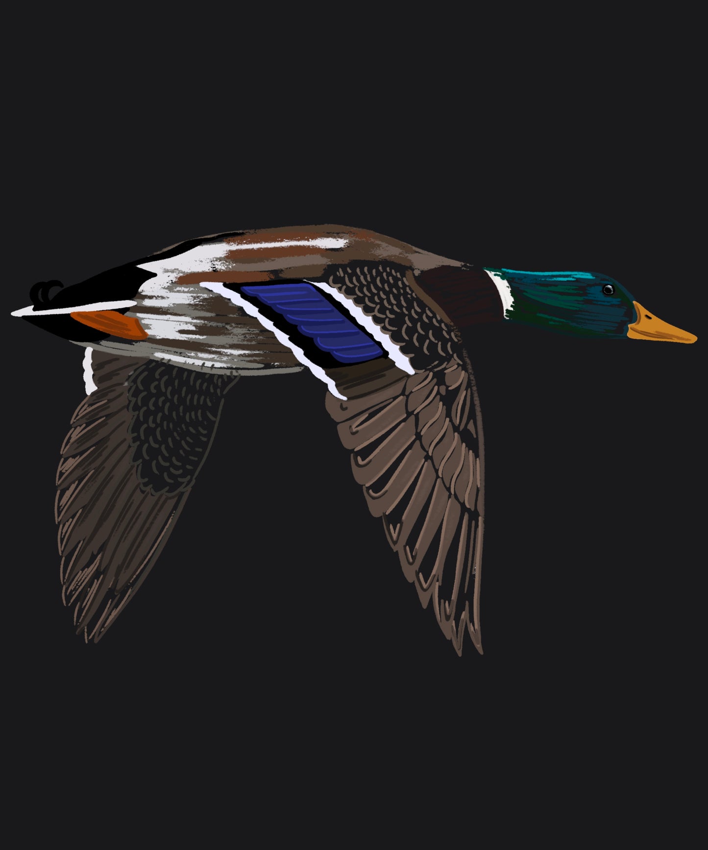 Brush Stroke Mallard