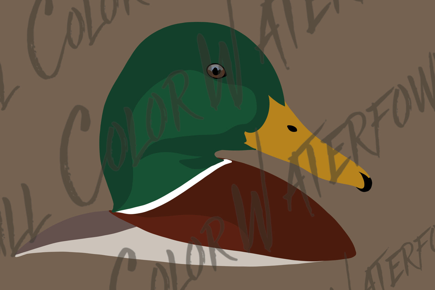 Mallard Head PNG File