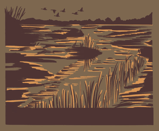 Marsh Scene