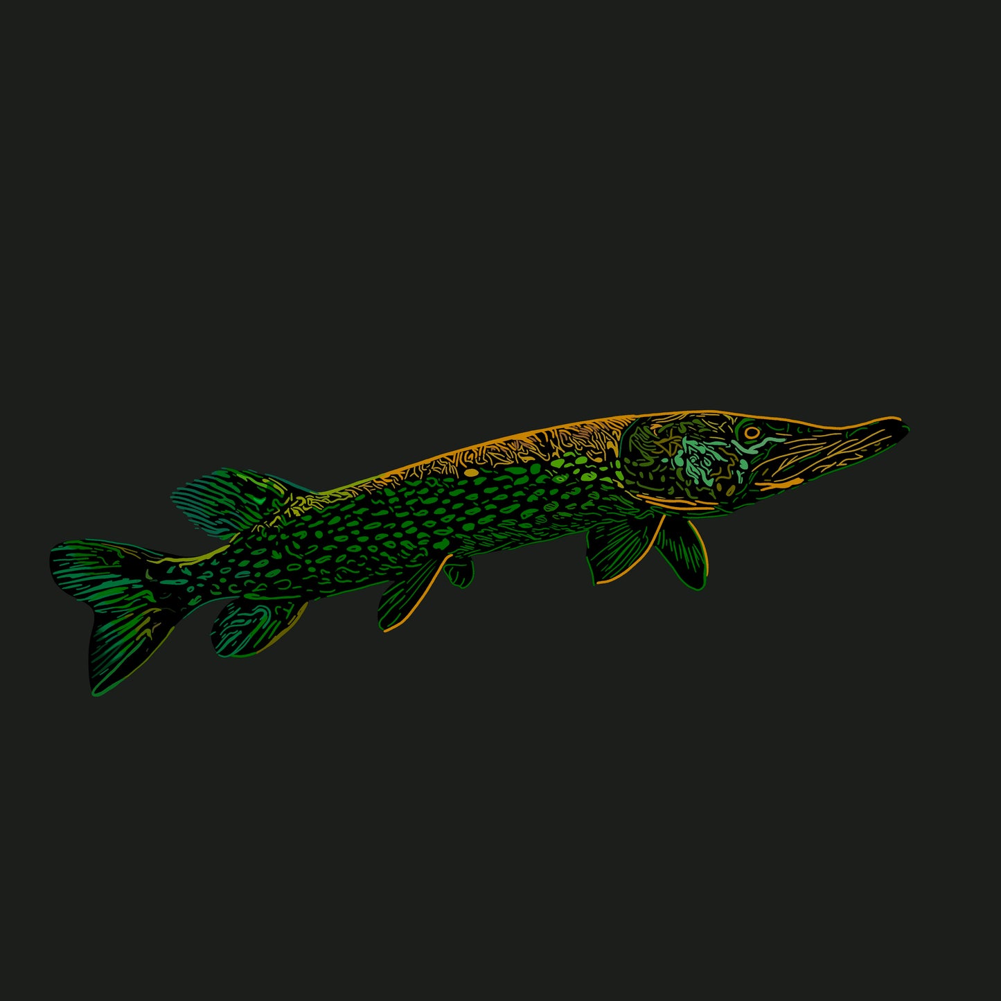 Northern Pike