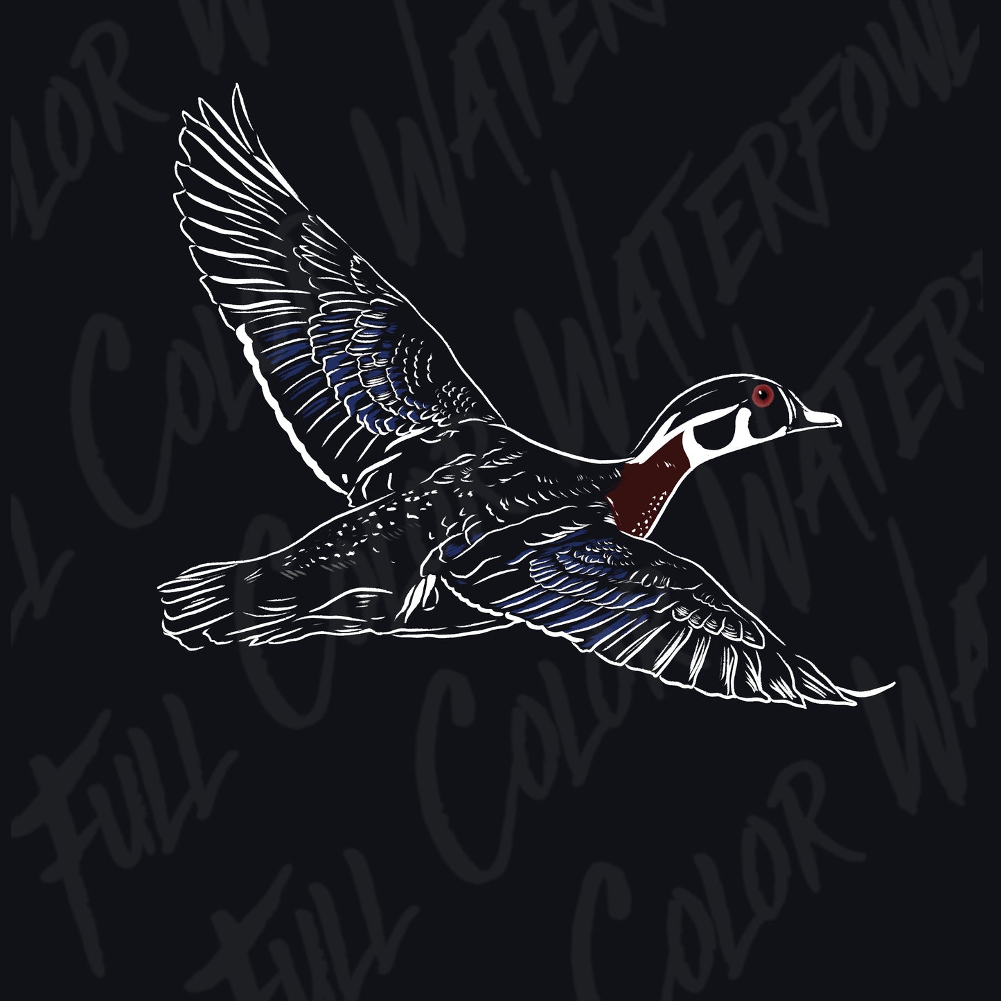 Simple Wood Duck PNG