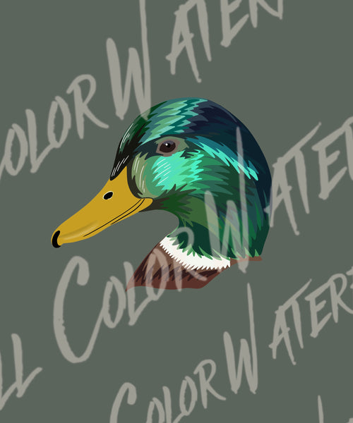 Artsy Mallard