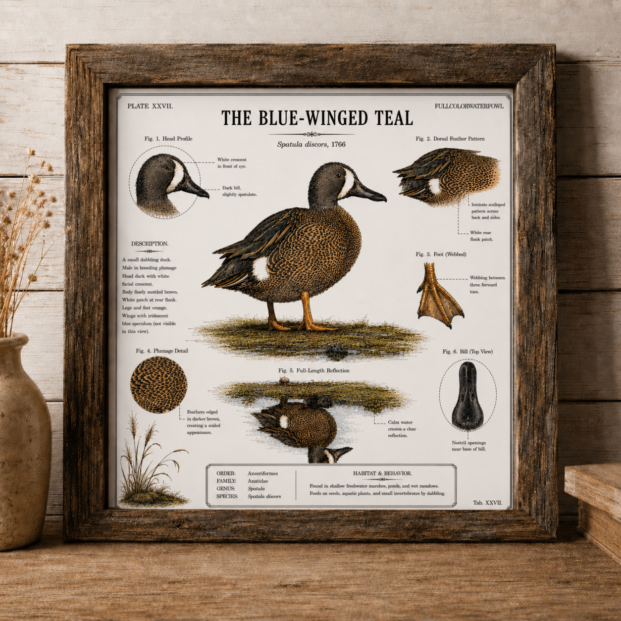 The Blue Wing Artworks