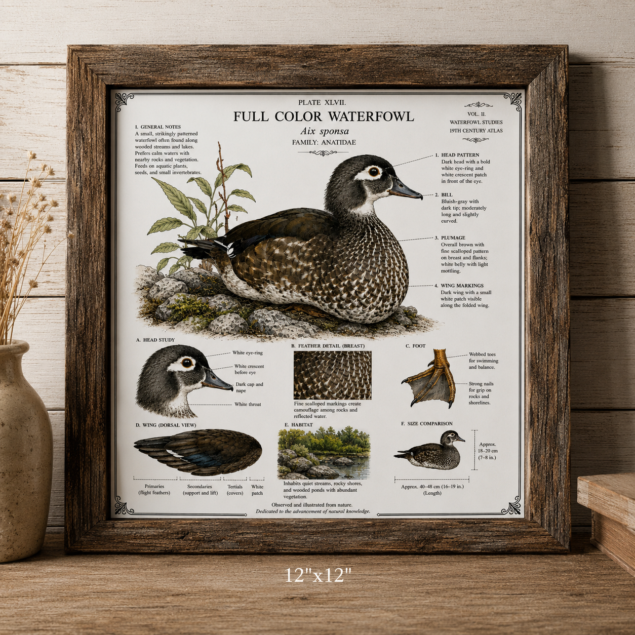Wood duck WALL ARTWORK ( Hen)