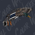 Mallard Duck in Flight - Digital Art Download