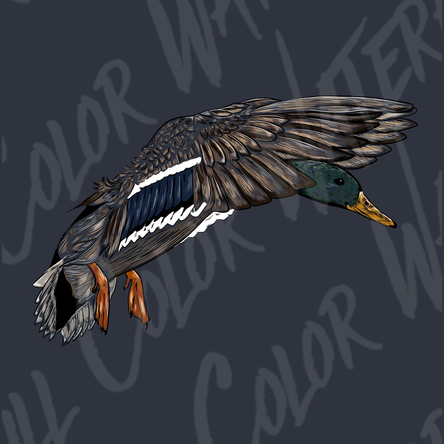 Mallard Duck in Flight - Digital Art Download