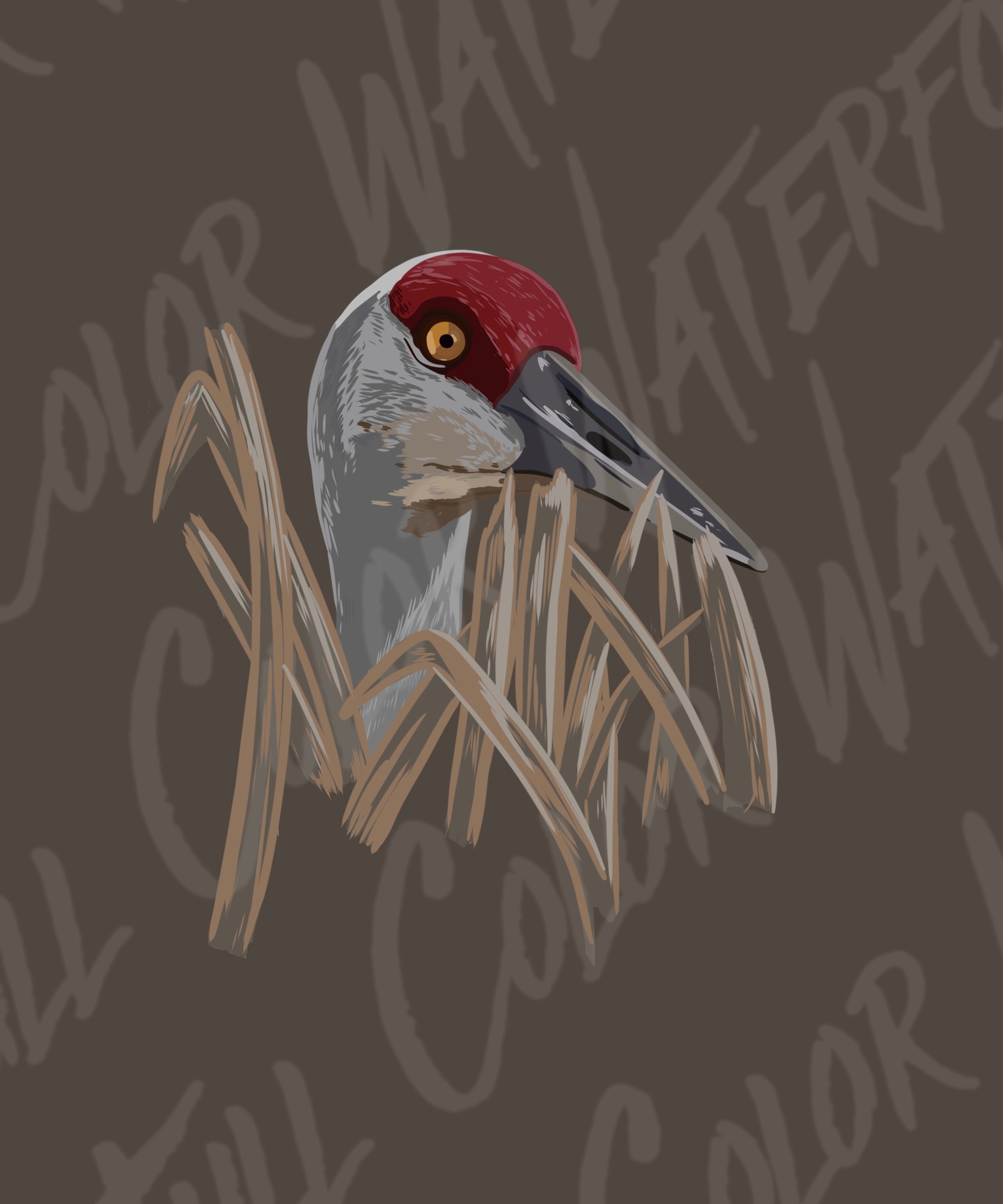 Sand Hill Crane Digital Art PNG