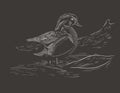 White Wood Duck Digital Graphic PNG