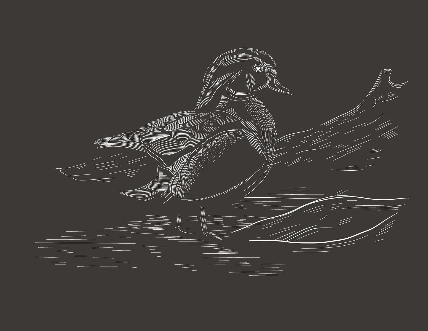 White Wood Duck Digital Graphic PNG