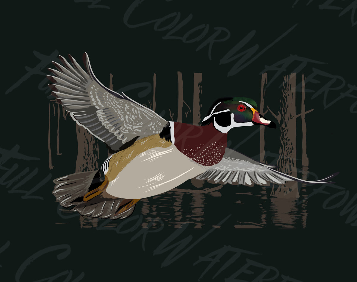 Wood Duck Flying Illustration PNG | Waterfowl Art Download