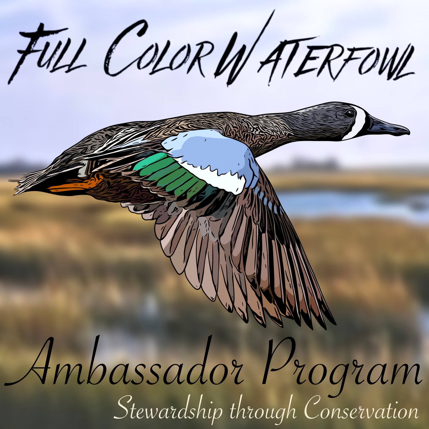 FCW Ambassador Program